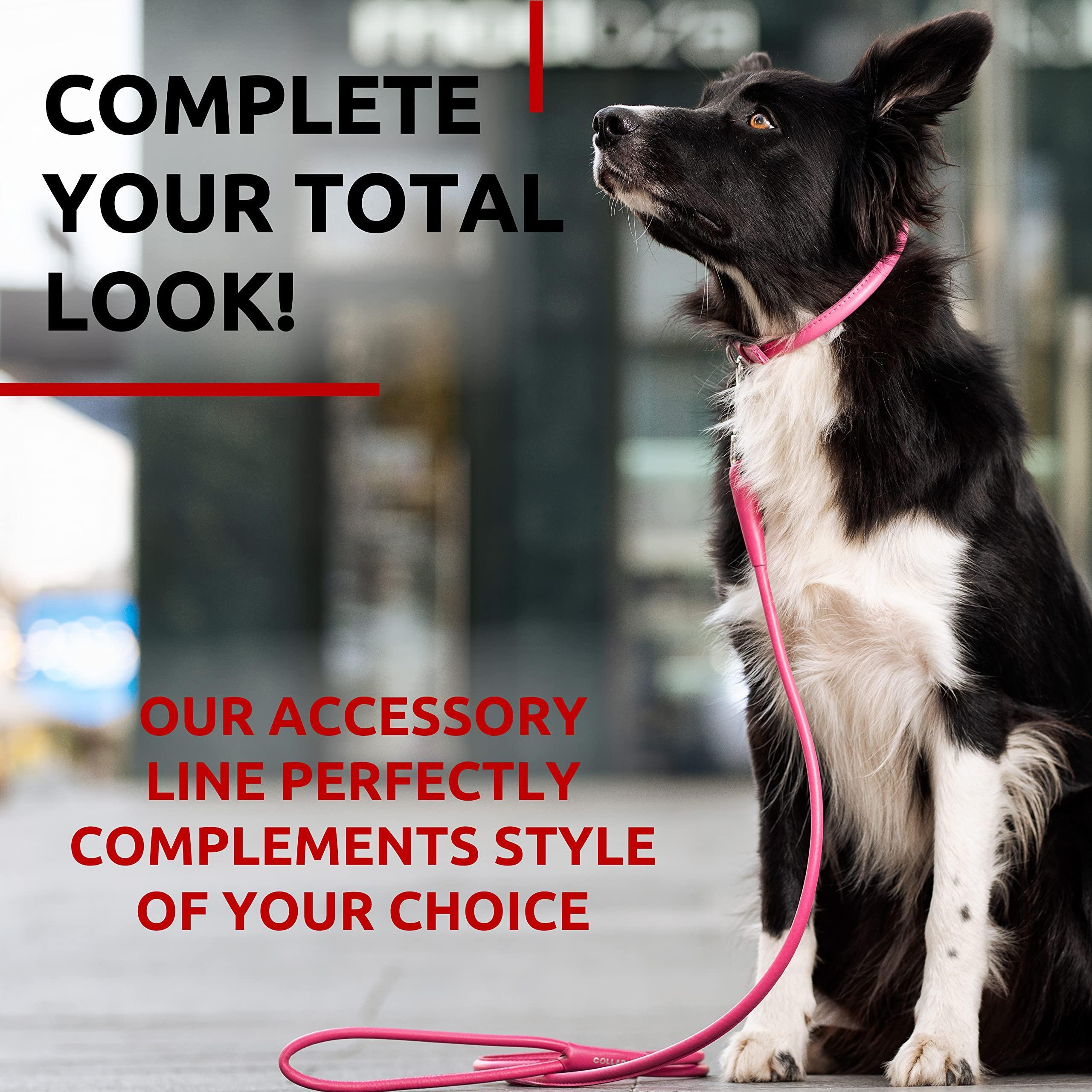 Rolled Leather Dog Leash 4Ft * 0.4 in for Small Medium and Large Dogs