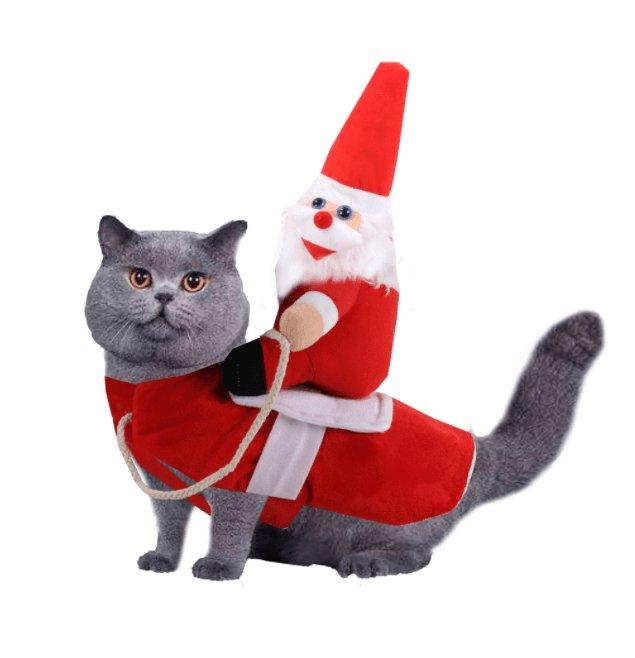 Cozy Paws Winter Pet Apparel: Stylish And Warm Clothes For Dogs And