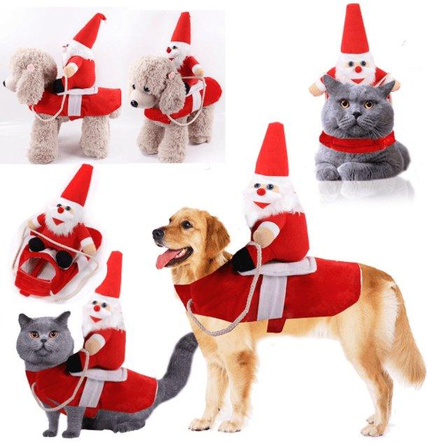Cozy Paws Winter Pet Apparel: Stylish And Warm Clothes For Dogs And