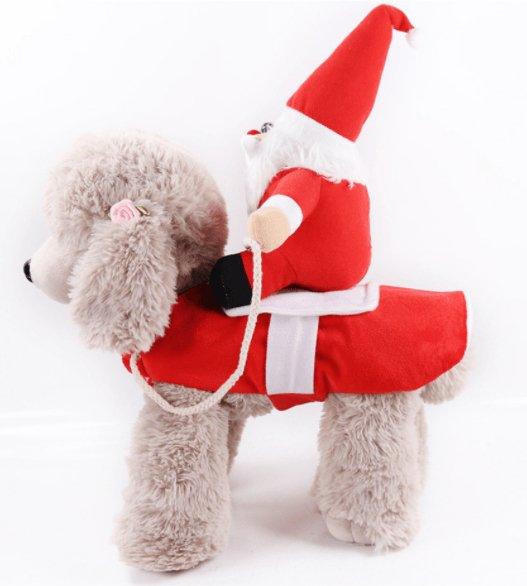 Cozy Paws Winter Pet Apparel: Stylish And Warm Clothes For Dogs And