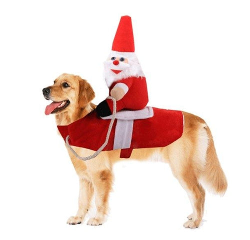 Cozy Paws Winter Pet Apparel: Stylish And Warm Clothes For Dogs And